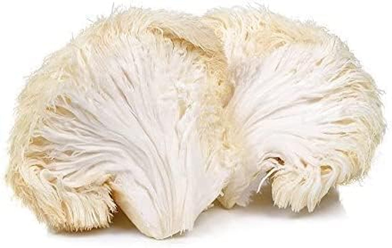 Sol Nutrition Lion'S Mane Mushroom Powder, Organic - 100G