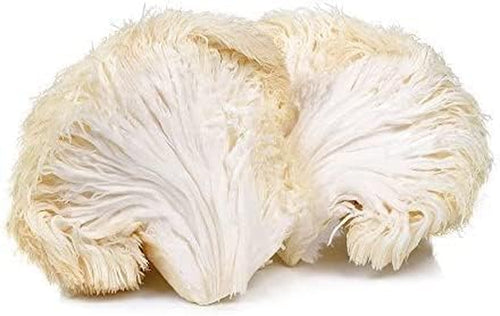 Sol Nutrition Lion'S Mane Mushroom Powder, Organic - 100G