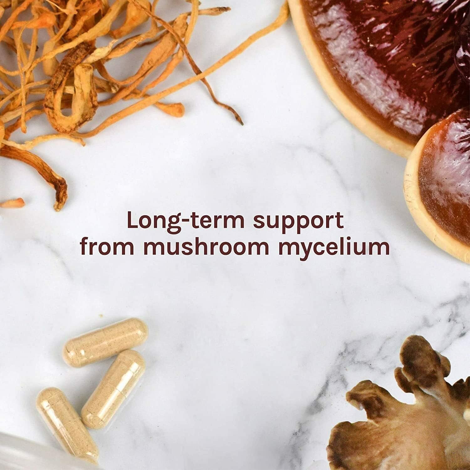 Sol Nutrition Lion'S Mane Mushroom Powder, Organic - 100G